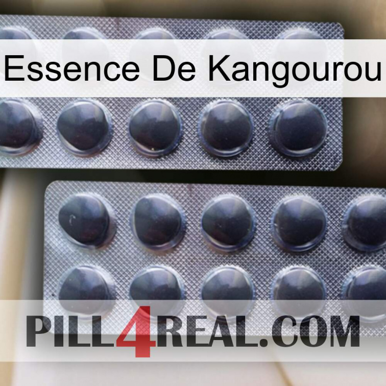 Kangaroo Essence 31